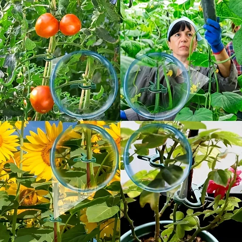 재사용 가능한 식물 지지 클립 20개, 정원용 덩굴 식 - Vine Climbing Plastic 리뷰 및 가격
